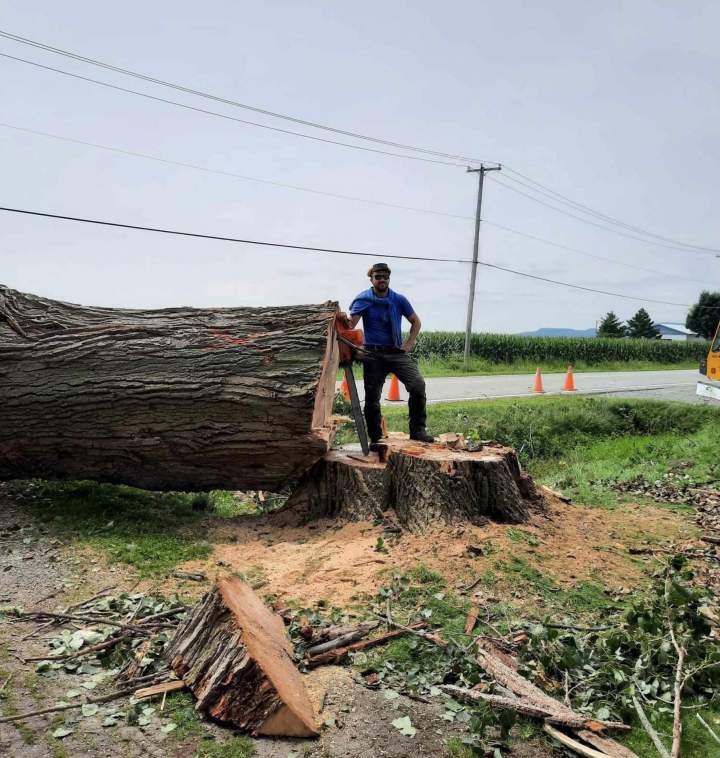 Soyez rassuré d'un abattage d'arbres sécuritaire.
