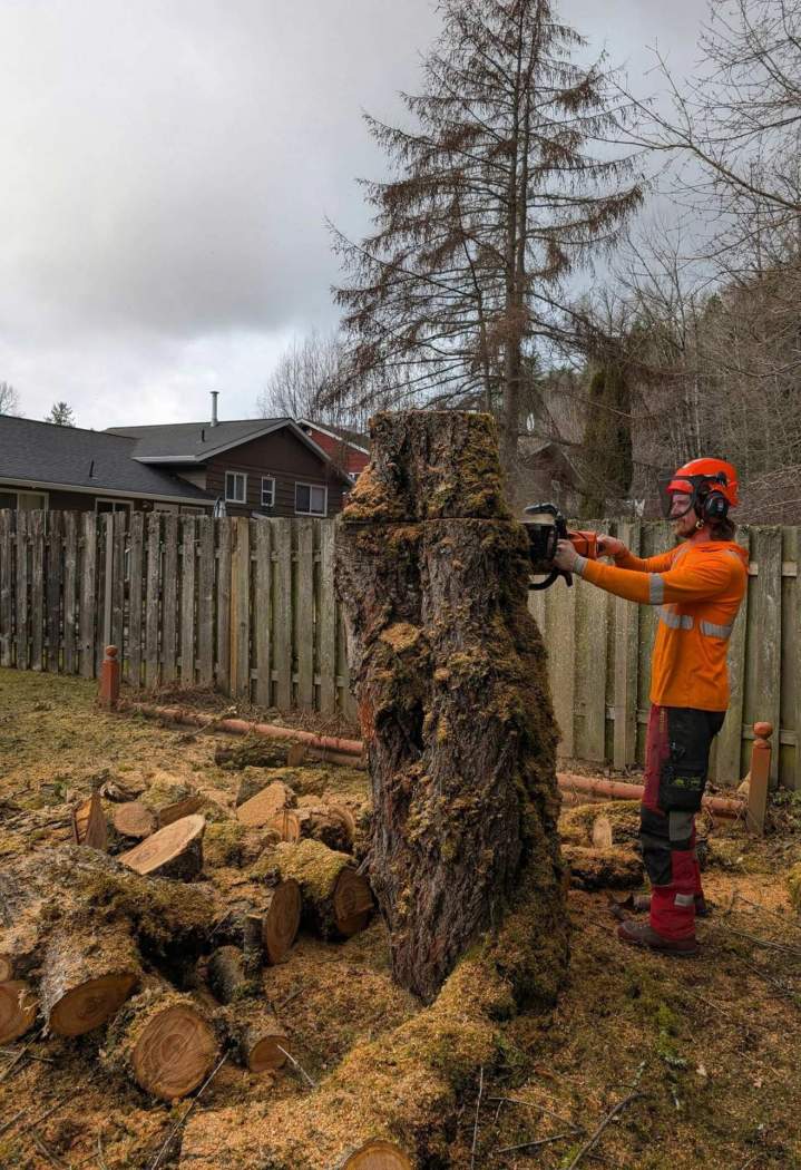 Retrait d'arbre dangereux Saint-Hyacinthe