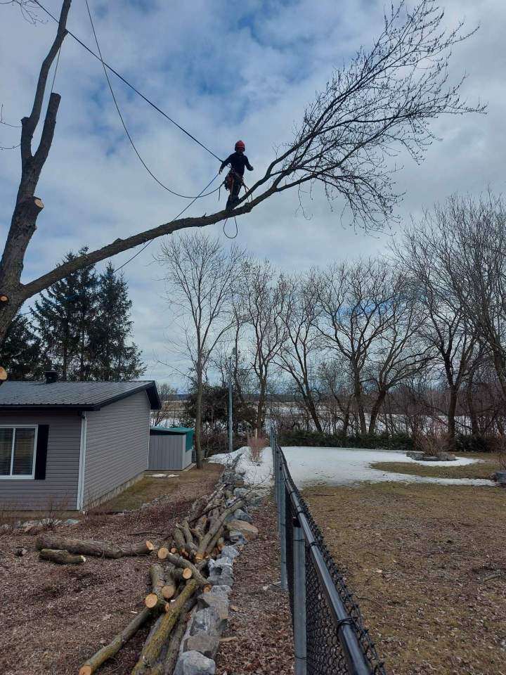 481052759 1138939334685153 8126738549299428610 n