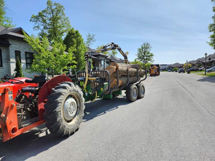 481667928 1136514321594321 3757284453889289807 n