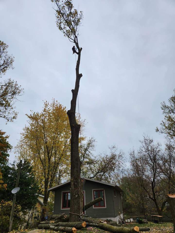 482025636 1140519964527090 502096819479796752 n