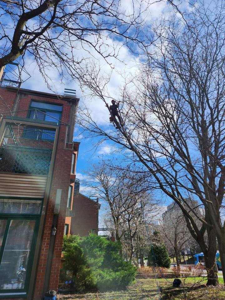 482092021 1140240017888418 902809861442665299 n