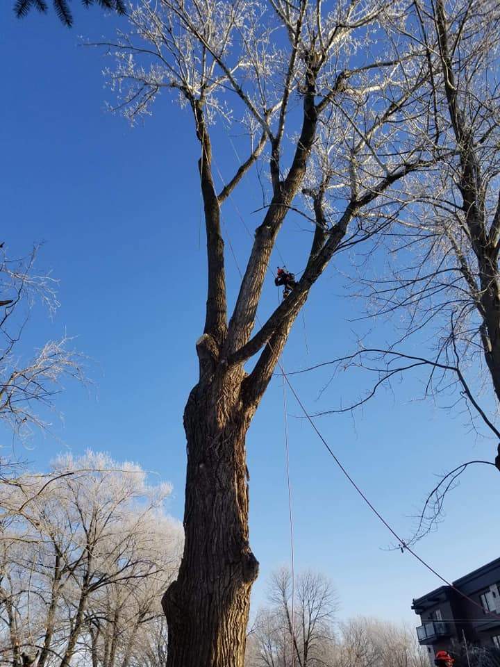 48272797 1999336893481559 4916875021407748096 n