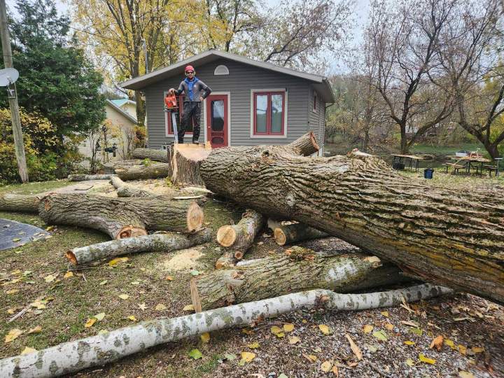 Retrait d'arbre dangereux Saint-Hyacinthe