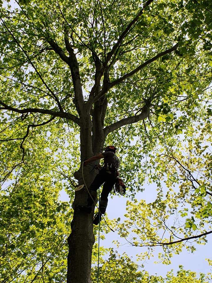 98214499 3021013187980586 2874459214204370944 n