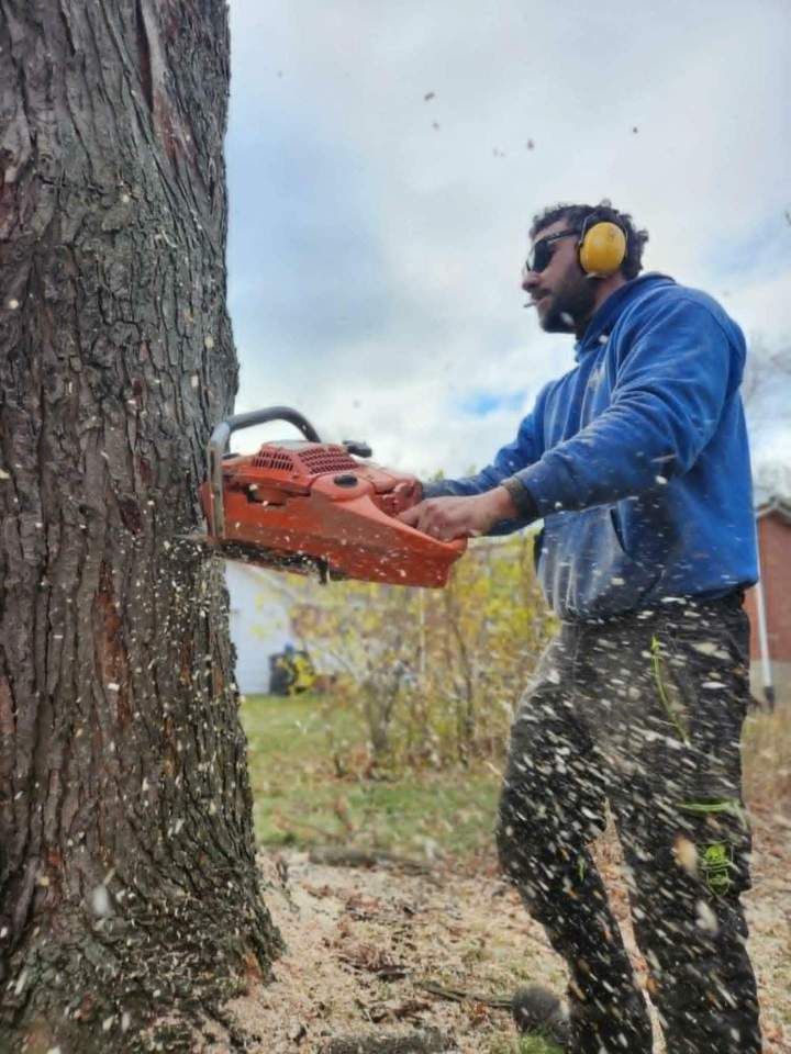 Aménagement boisé Saint-Hyacinthe