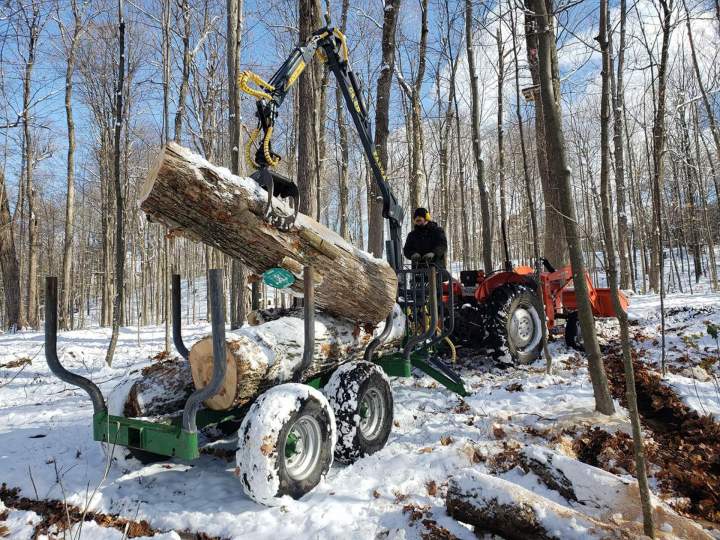 Gestion forestière Saint-Hyacinthe