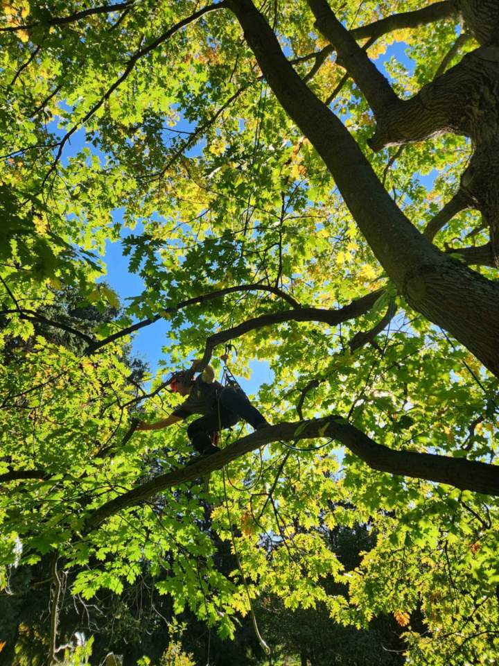 Haubanage Saint-Hyacinthe