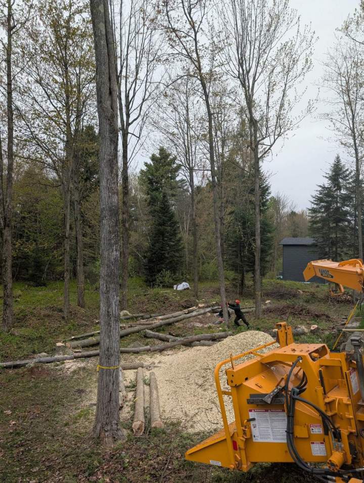 Gestion forestière Saint-Hyacinthe