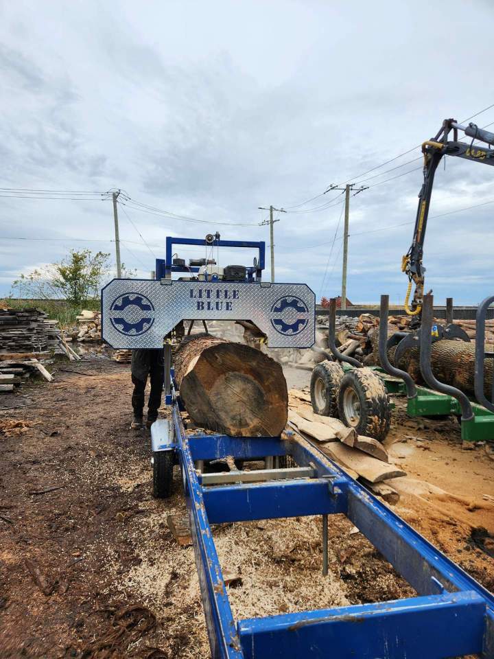 Services forestiers Saint-Hyacinthe