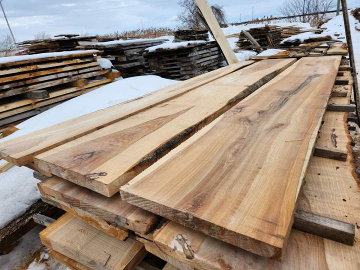 Travaux sylvicoles Saint-Hyacinthe