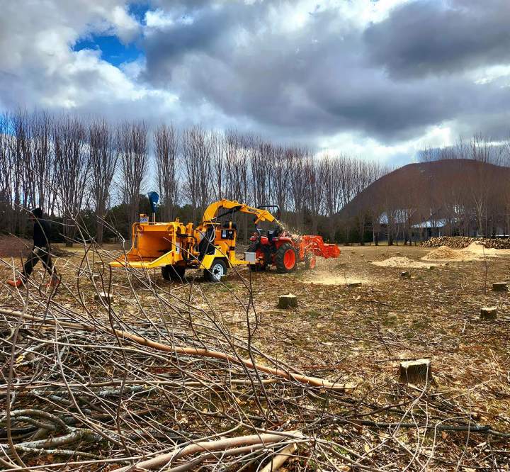 Préparez votre projet grâce à un déboisement complet et efficace.