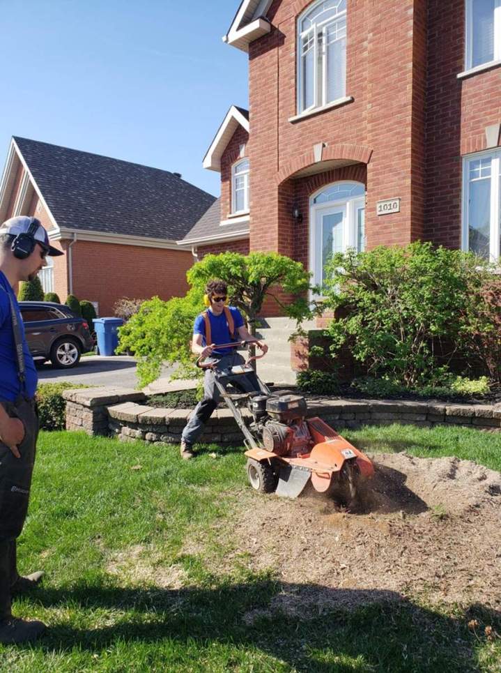 Essouchage Saint-Hyacinthe