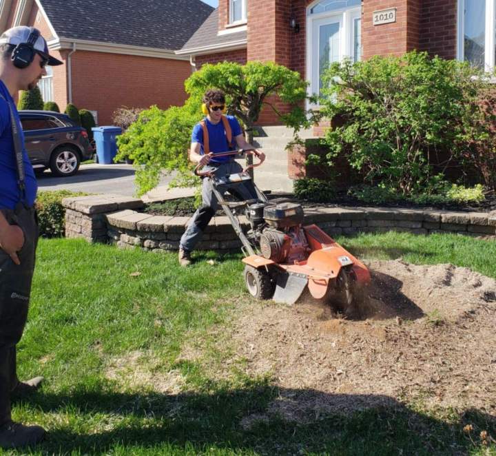 Libérez votre terrain de toutes les souches d'arbres gênantes.