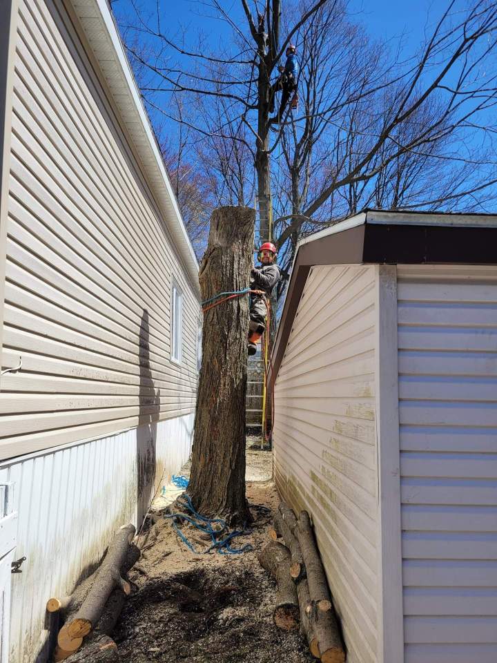 Retrait d'arbre dangereux Saint-Hyacinthe