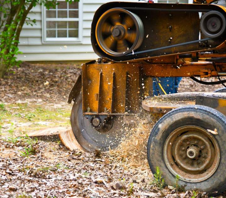 Stump Removal Saint-Hyacinthe