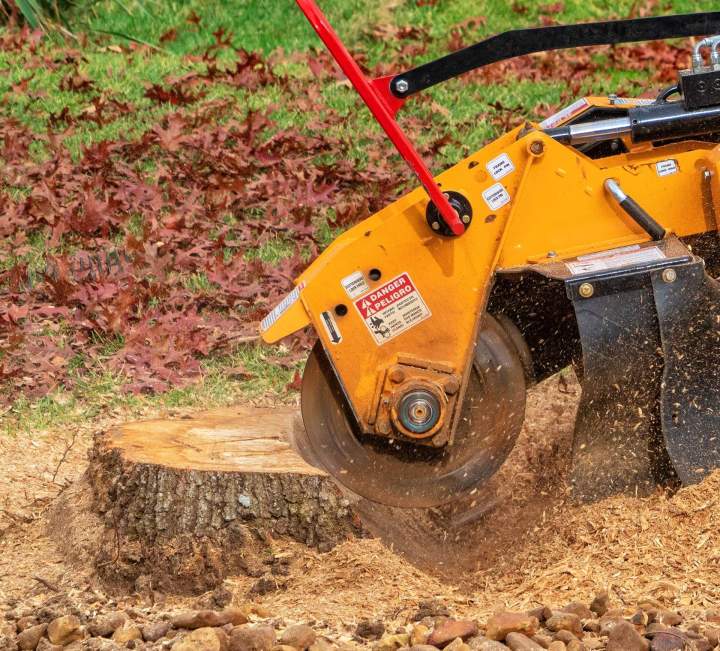 Stump Removal Saint-Hyacinthe