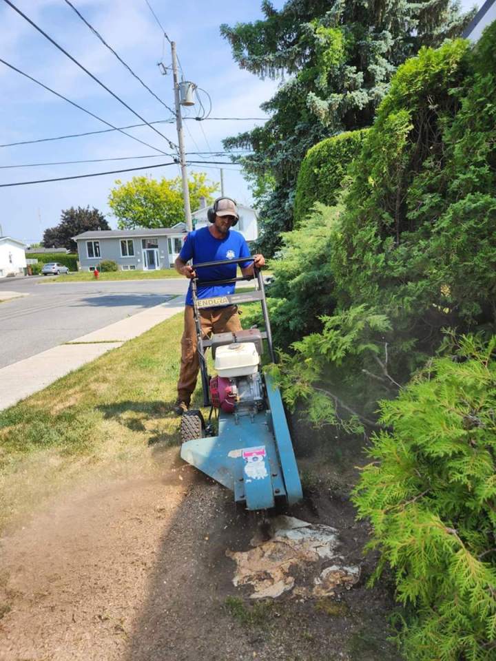 Travaux d'essouchage à Saint-Hyacinthe